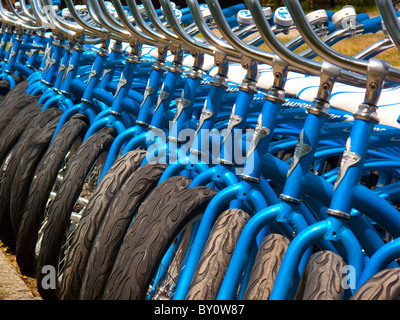 Lignes de bicyclettes à Governors Island Banque D'Images