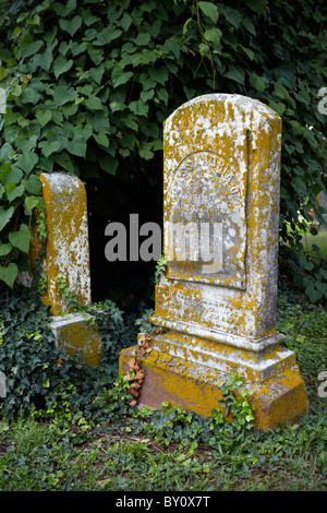 Pierres tombales couvertes de lichen à Cedar Grove Cemetery, Bealeton, Virginie. Banque D'Images