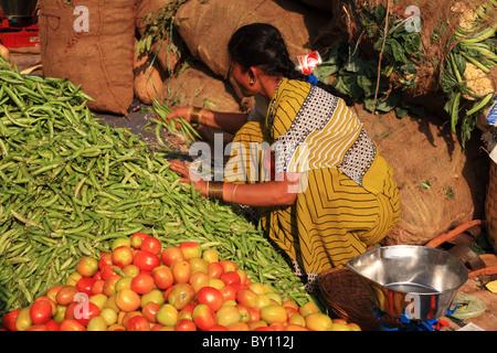 Rassemblement femme haricots verts de la rue du marché indien Goa 25 Janvier 2008 Banque D'Images