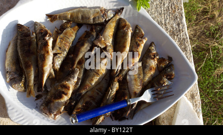 Fruits de mer au barbecue de la Grèce Banque D'Images
