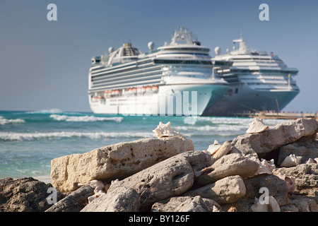 Des coquillages sur l'île de Grand Turk Banque D'Images