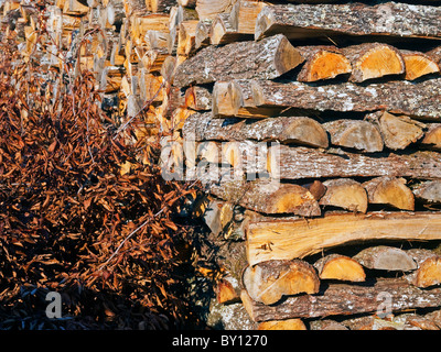 Pile de bois de chêne pour combustible domestique, les feux ouverts et poêles - France. Banque D'Images