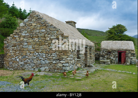 Jeune coq et poules au cottage historique de Dan O'Hara, expulsés par les britanniques et contraints à l'émigration, Connemara, comté de Galway Banque D'Images
