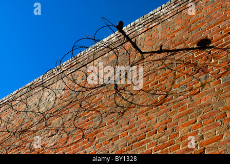 Soleil d'hiver jette une ombre forte d'un rouleau de fil de fer barbelé à travers un mur de brique Banque D'Images