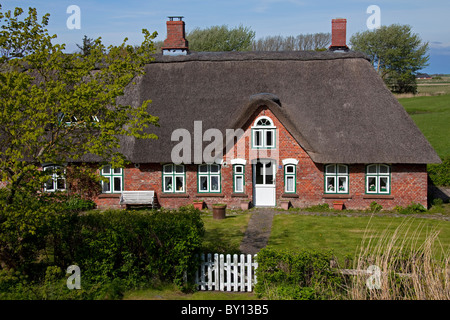 Frison maison traditionnelle avec toit en chaume de paille à Eiderstedt Péninsule, Frise du Nord, Allemagne Banque D'Images