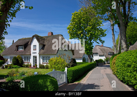 Frison maison traditionnelle avec toit en chaume de paille à l'île de Föhr / Foehr, Frise du Nord, Allemagne Banque D'Images