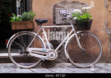 Style ancien blanc mens bide avec boîte et panier de fleurs Banque D'Images