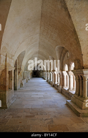 Le Cloître de l'Abbaye de Fontenay Bourgogne France cloître Abbaye de Fontenay Banque D'Images