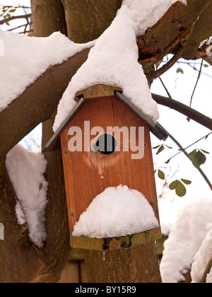 Nichoir oiseaux après de fortes chutes de neige. Banque D'Images