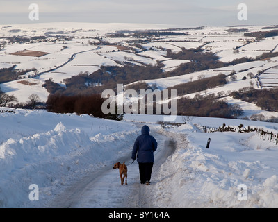 Le chien marche snow bound lane près de Goathland sur le Yorkshire Moors Banque D'Images