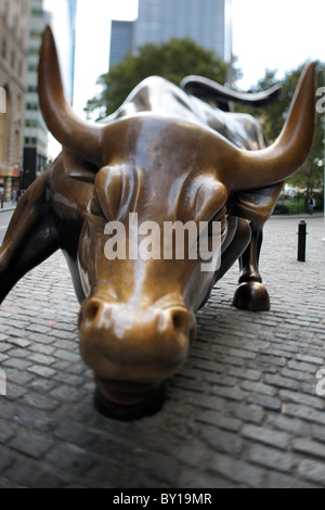 Bull charge, New York City, États-Unis d'Amérique Banque D'Images