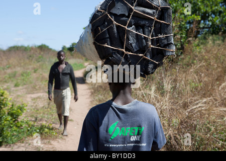 MECATI Forêt, Près de Nampula, MOZAMBIQUE, Mai 2010 : un groupe de producteurs de charbon de bois et charbon de bois sac de recueillir. Banque D'Images