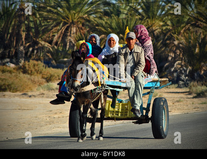 Famille tunisienne voyager dans une oasis par charrette à âne, près de Douz, Tunisie Banque D'Images