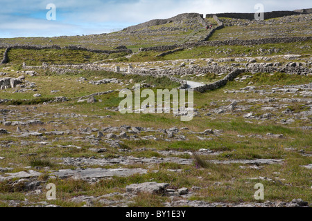 Dún Aonghasa fort préhistorique l'Inishmore îles Aran Comté de Galway, Irlande Banque D'Images