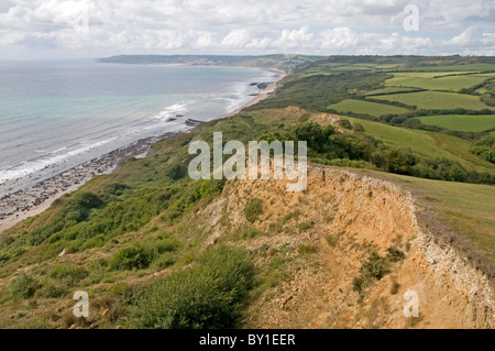 Sur le chemin de la côte du Dorset, descendant à l'ouest de Golden Cap, la position de Charmouth quelques milles le long de la côte Banque D'Images