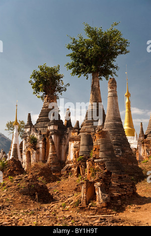 Myanmar, au Lac Inle, à Indein. À l'ouest de Ywama village sur le lac Inle, se trouvent les ruines d'Indein en ruine, d'anciens temples bouddhistes et Banque D'Images