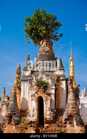 Myanmar, au Lac Inle, à Indein. À l'ouest de Ywama village sur le lac Inle, se trouvent les ruines d'Indein en ruine, d'anciens temples bouddhistes et Banque D'Images