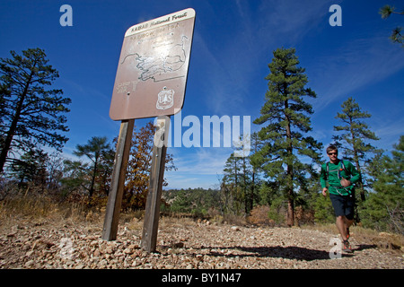 USA, Arizonia, Grand Canyon North Rim, la Forêt Nationale de Kaibab. La vaste étendue du parc national, loin de la principale Banque D'Images