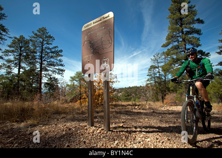 USA, Arizonia, Grand Canyon North Rim, la Forêt Nationale de Kaibab. La vaste étendue du parc national, loin de la principale Banque D'Images