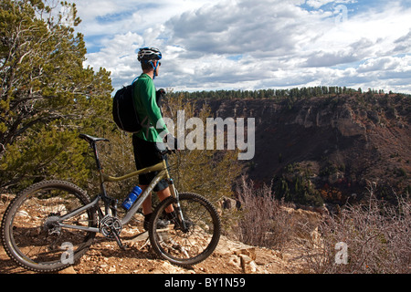 USA, Arizonia, Grand Canyon North Rim, la Forêt Nationale de Kaibab. La vaste étendue du parc national, loin de la principale Banque D'Images