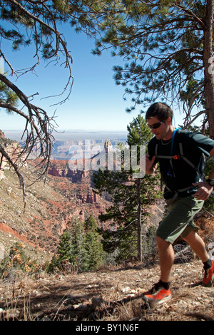 USA, Arizonia, Grand Canyon North Rim, la Forêt Nationale de Kaibab. Le vaste parc national ouvert zone adjacente à la principale Grand Banque D'Images