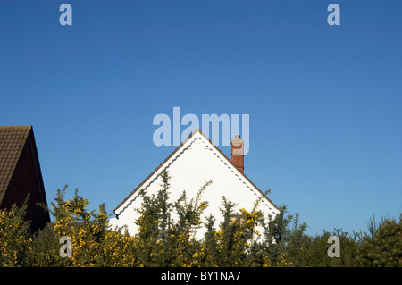 Derrière la maison jardin clôture Banque D'Images