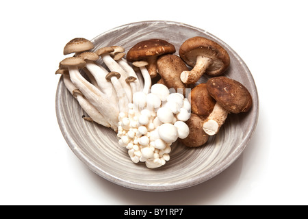 Champignons Enoki, chinois,député shimeji-Shiitake et isolated on a white background studio. Banque D'Images
