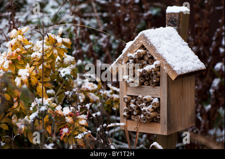 Maison des insectes d'une couverture de neige en Décembre Banque D'Images