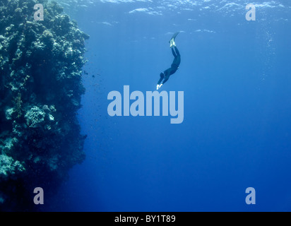 L'apnéiste se déplace sous l'eau près de la barrière de corail à la profondeur du trou bleu. Lire la mer, l'Égypte. Banque D'Images