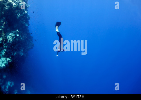 L'apnéiste se déplace sous l'eau près de la barrière de corail à la profondeur du trou bleu. Lire la mer, l'Égypte. Banque D'Images