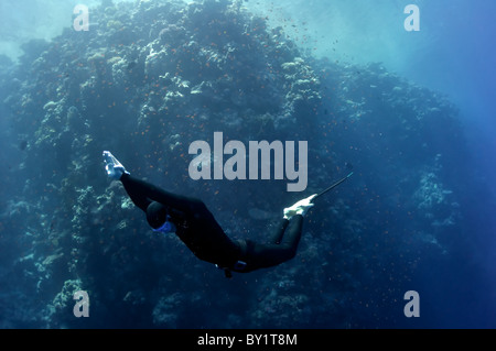 L'apnéiste se déplace sous l'eau près de la barrière de corail à la profondeur du trou bleu. Lire la mer, l'Égypte. Banque D'Images