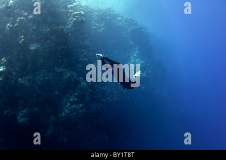 L'apnéiste se déplace sous l'eau près de la barrière de corail à la profondeur du trou bleu. Lire la mer, l'Égypte. Banque D'Images