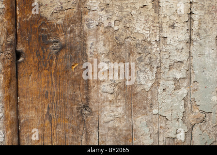 Détail d'une porte en bois avec peinture laque écaille Banque D'Images