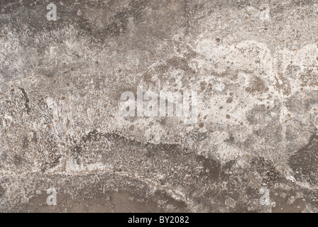 Détail d'un mur en béton avec des fissures et la moisissure blanche Banque D'Images