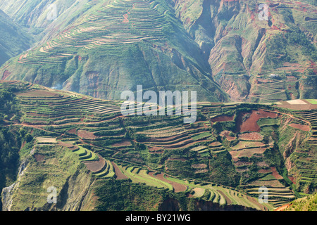 Terre rouge, sol Dongchuan, Province du Yunnan, Chine Banque D'Images