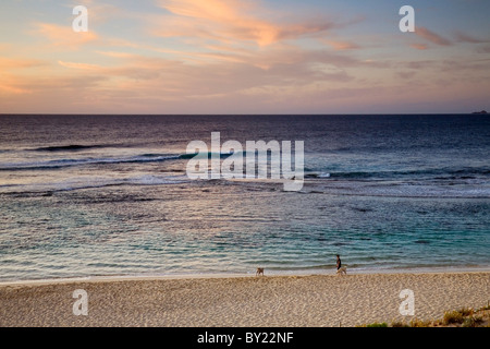 L'Australie, Australie occidentale, le Parc National Leeuwin-Naturaliste Yallingup,. Une femme entre ses chiens le long de la plage à Yallingup Banque D'Images