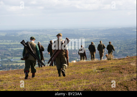 UK ; Yorkshire. Les chargeurs et les armes à feu hors tournage tétras sur Bingley Moor. Banque D'Images