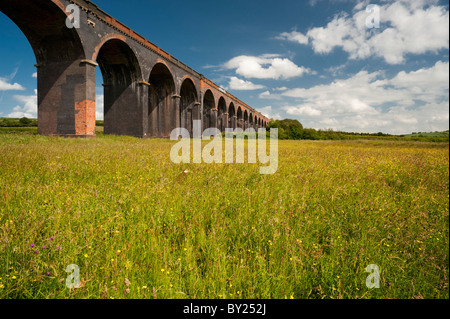 L'Harringworth Welland ou Viaduc, sur la vallée de la rivière Welland, à Seaton Meadows Nature Reserve, Rutland Banque D'Images