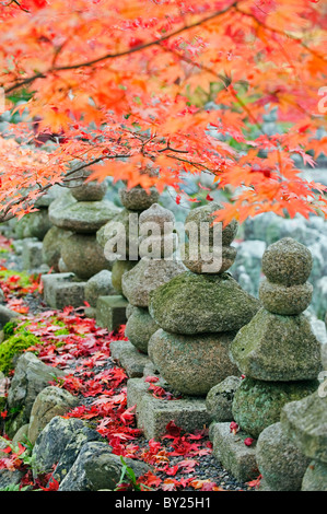 L'Asie, Japon. Sagano, Kyoto Arashiyama, Adashino Nenbutsu, dera, lanternes en pierre Banque D'Images