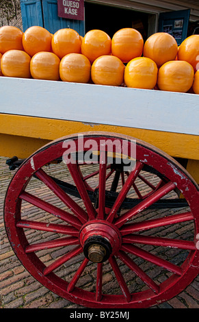 Célèbre attraction touristique du musée de fromage dans le tranquille petite ville d'Edam en Hollande en dehors d'Amsterdam Banque D'Images