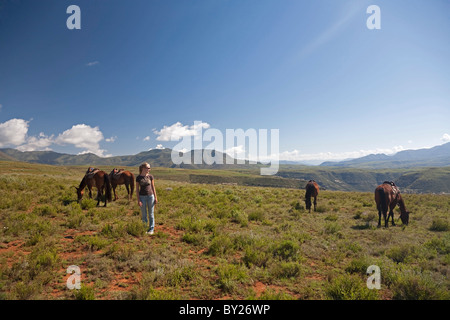 Le Lesotho, Malealea. Le tourisme prend une pause d'un cheval à travers les hautes terres du Lesotho. M. Banque D'Images