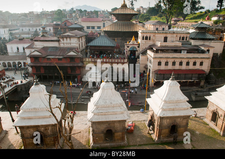 Vue sur le temple hindou de Pashupatinath à Katmandou, Népal Banque D'Images