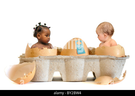 Beaux bébés à l'intérieur des oeufs isolés dans White Banque D'Images