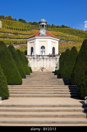 Allemagne, Saxe,Elbe Valley,Radebeul, vignoble, Wackerbarth Château Belvedere Banque D'Images