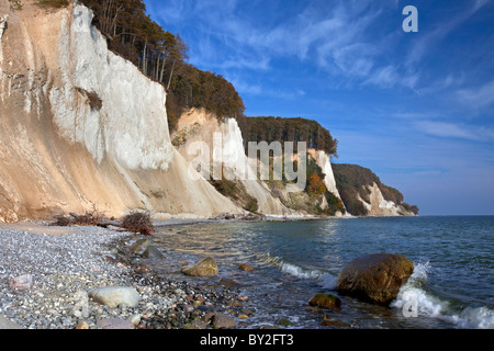 La plage et les falaises de craie dans le Parc National de Jasmund, sur l'île de Rügen Rügen / sur la mer Baltique, Allemagne Banque D'Images