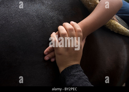 Un instructeur aide un enfant à toucher la peau d'un cheval au cours d'une séance de thérapie à cheval dans la ville de Mexico Banque D'Images