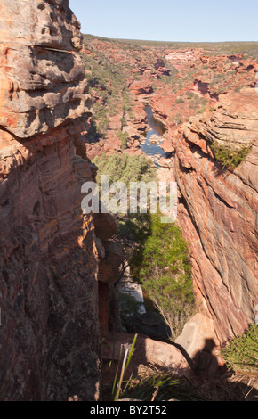 En regardant la rivière Murchison, le Parc National de Kalbarri, Australie occidentale Banque D'Images