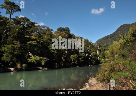 Ciel bleu, vert laiteux Rio Frias, qui coule à travers un canal vers le lac des Bois Brazo Blest, Puerto Blest, Andes, Argentinna Banque D'Images