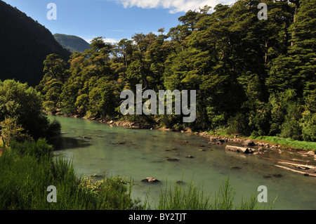 Vert d'eau de Rio Frias circulant dans les arbres de la forêt tropicale Valdivian vers le lac Brazo Blest, Puerto Blest, Andes, Argentine Banque D'Images