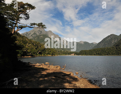 Lake tree beach view, vers des sommets des Andes et de la forêt, de l'hôtel Puerto Blest, loin de Brazo Blest, Andes, Argentine Banque D'Images